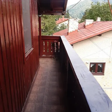 Rustic Regal Apartment Sinaia Exterior photo