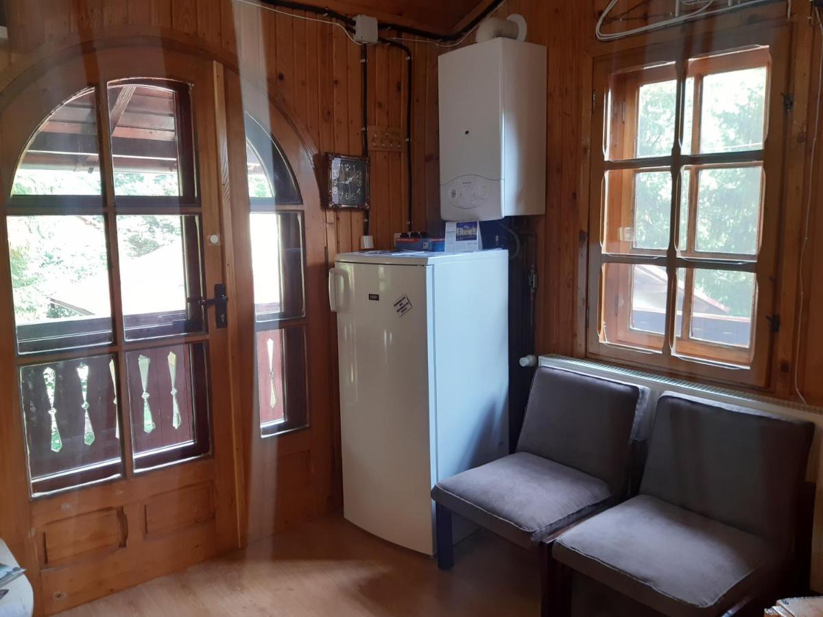 Rustic Regal Apartment Sinaia