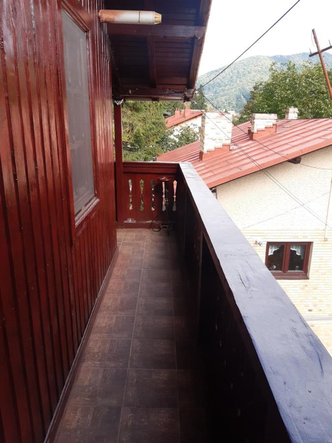 Rustic Regal Apartment Sinaia