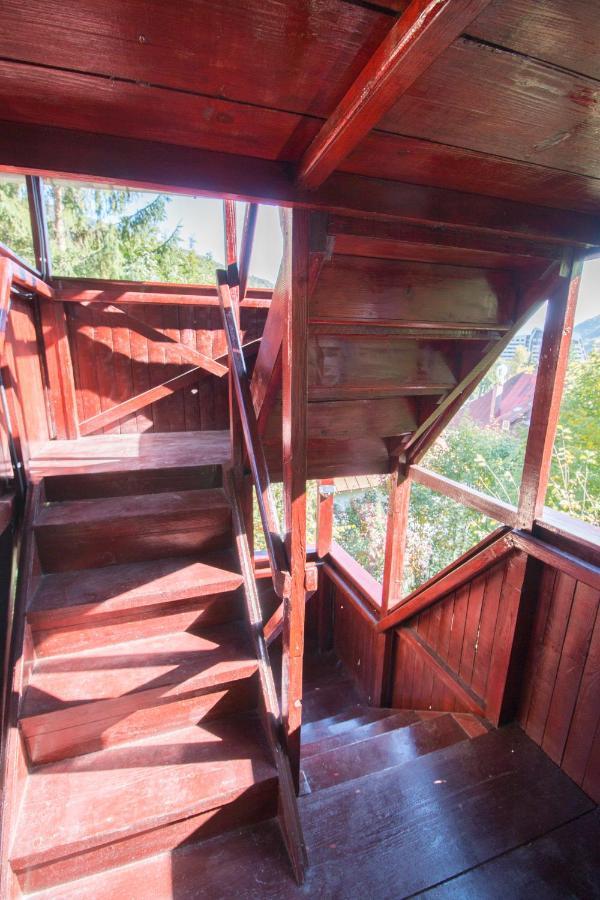 Rustic Regal Appartamento Sinaia
