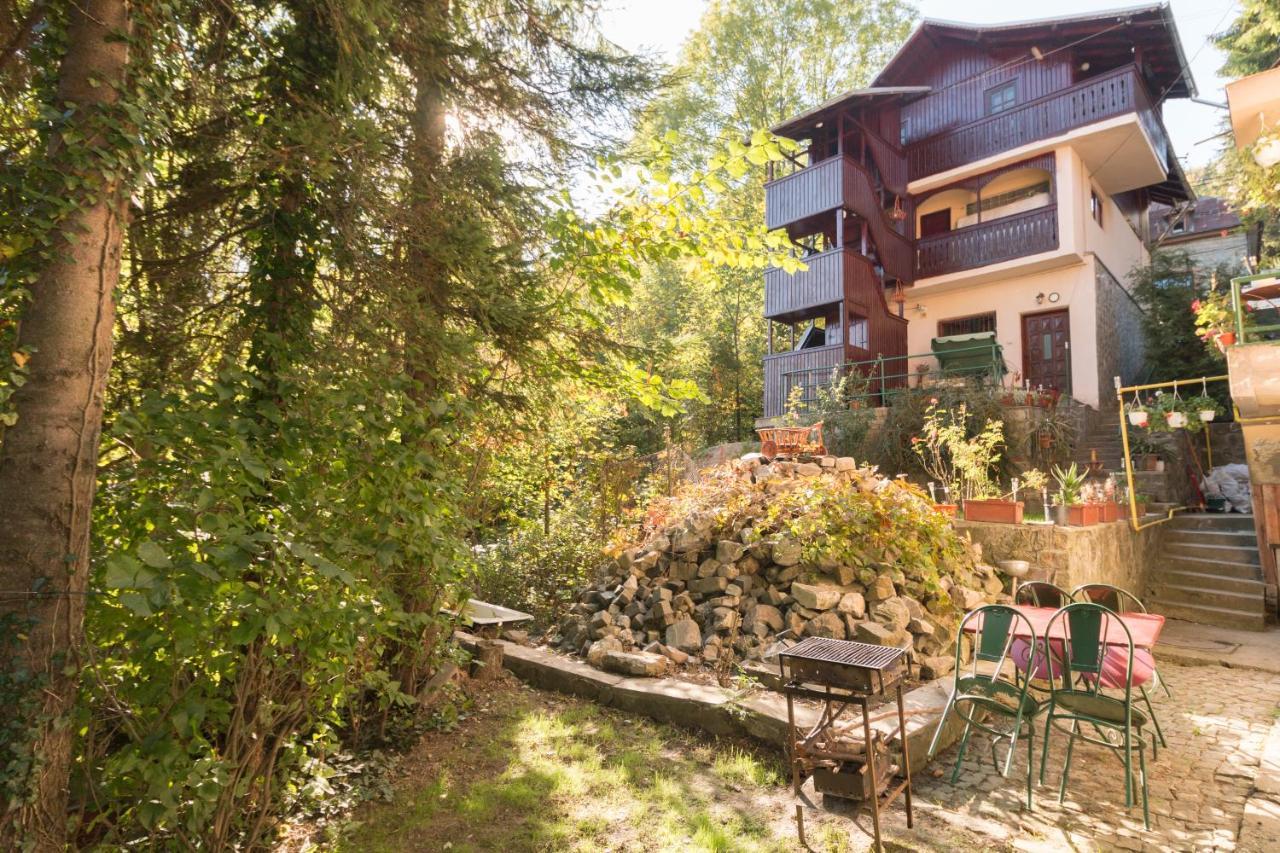 Rustic Regal Appartamento