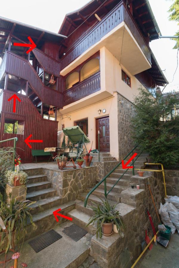 Apartment Rustic Regal Sinaia